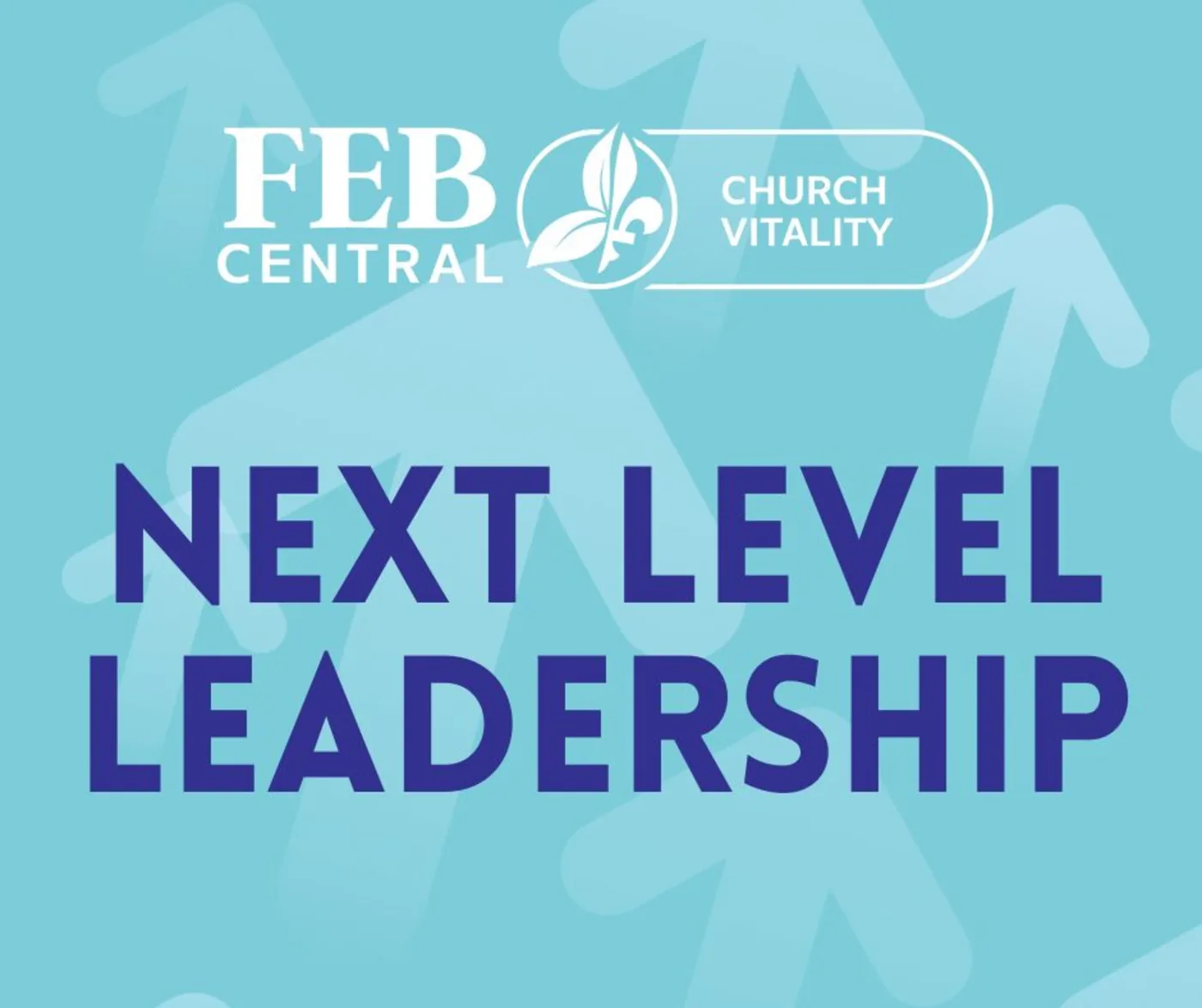 Next Level Leadership Network